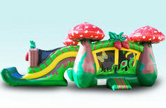 DRY COMBO UNITS (Bounce & Slide) DRY COMBO UNITS (Bounce & Slide)